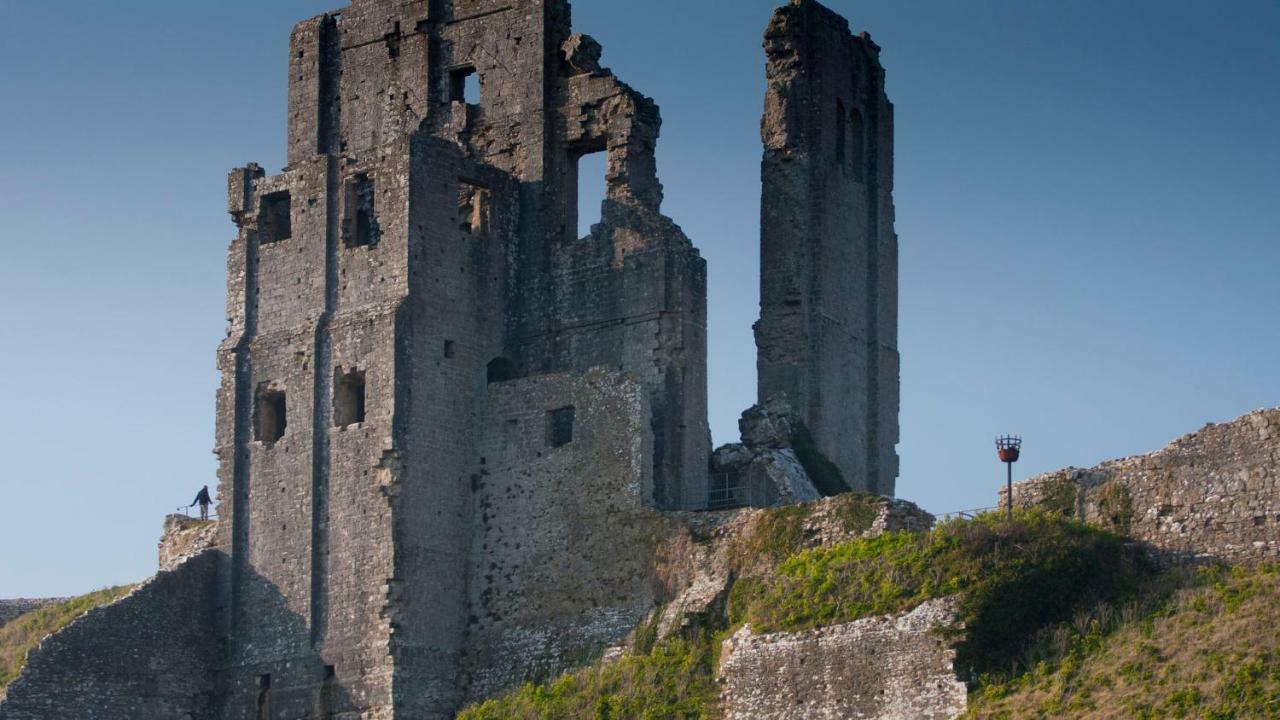 Ammonite Bed & Breakfast Corfe Castle Eksteriør bilde