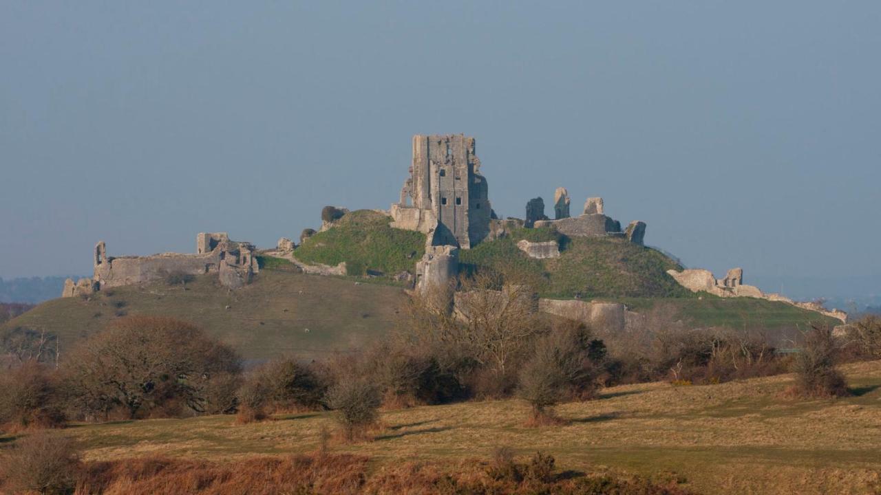 Ammonite Bed & Breakfast Corfe Castle Eksteriør bilde